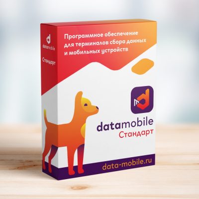 DataMobile, версия Стандарт - подписка на 12 месяцев