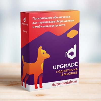 DataMobile, Upgrade с версии Online Lite до Online - подписка на 12 месяцев