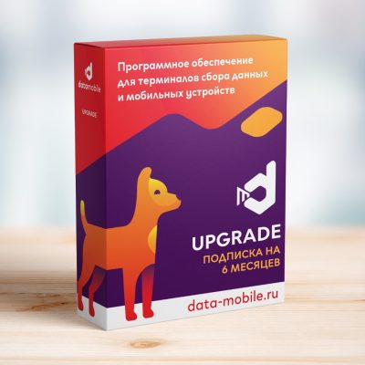 DataMobile, Upgrade с версии Online Lite до Online - подписка на 6 месяцев