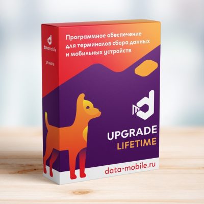 DataMobile, Upgrade с версии Стандарт Pro до Online